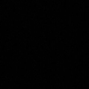 Meet your Posher, Mollie